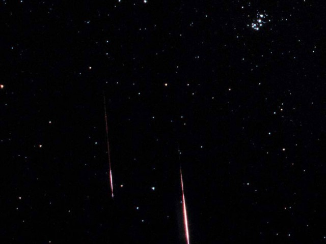 Leonid Meteors Passing the Pleiades