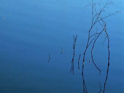 Dawn – Beaver Lake