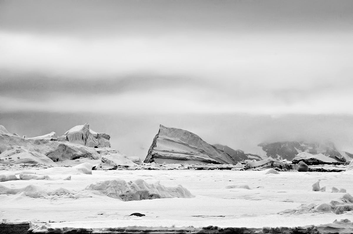 Untitled; Weddell Sea; Antarctica